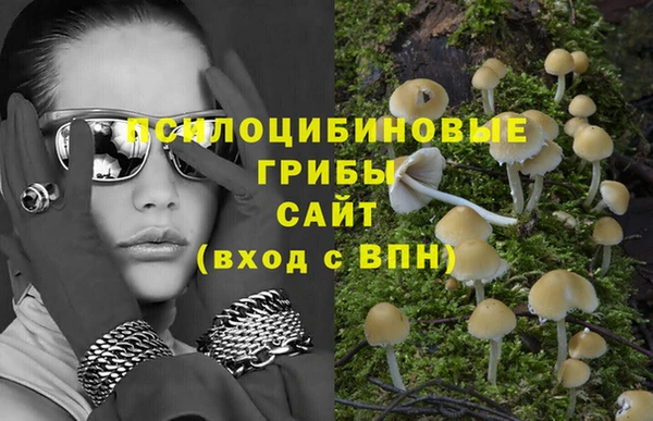 эйфоретик Вязьма