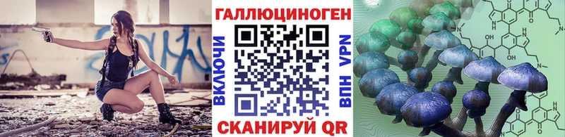 дарнет шоп Муром Псилоцибиновые грибы прущие грибы